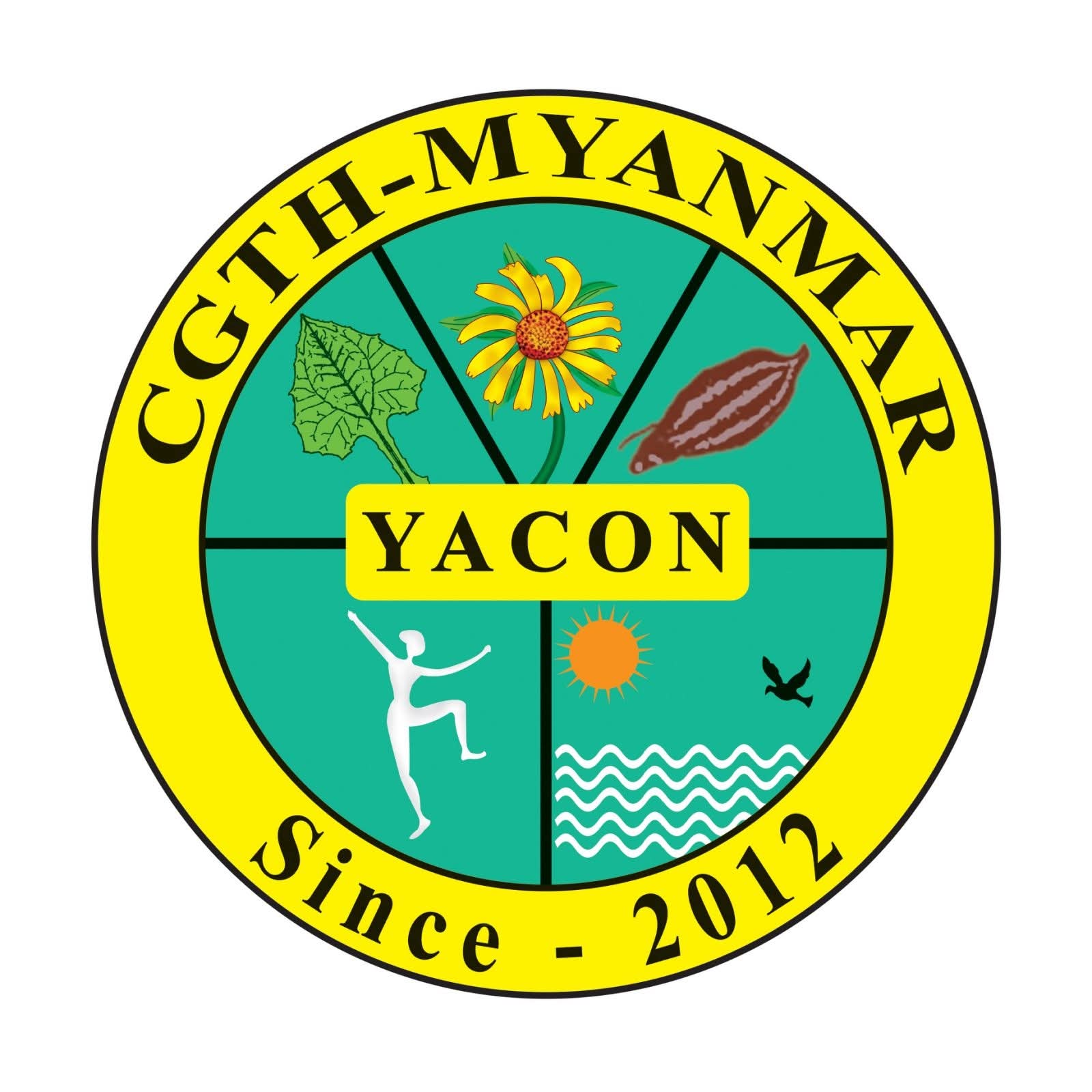 CGTH - Myanmar Yacon